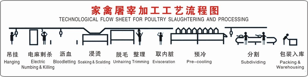 Slaughter Process.jpg